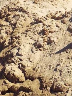 https://shop2.three-z.com/storage/photos/1/Products/Sand/FIll Sand/FILL SAND.JPG